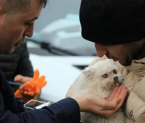 1678524682623.jpg Akılalmaz iddialar! Deprem bölgesindeki kedileri kim satıyor? - 6