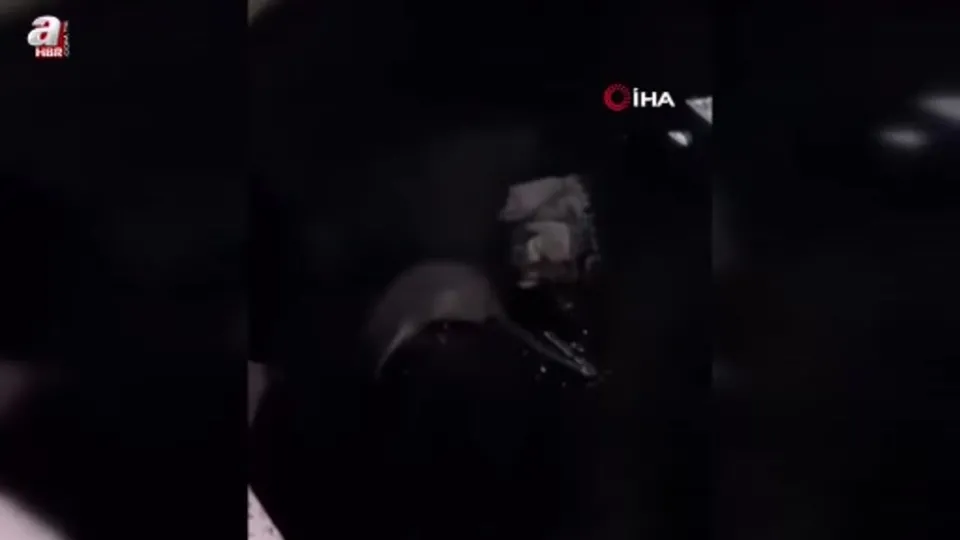 Yüksekova’da su samuru görüntülendi