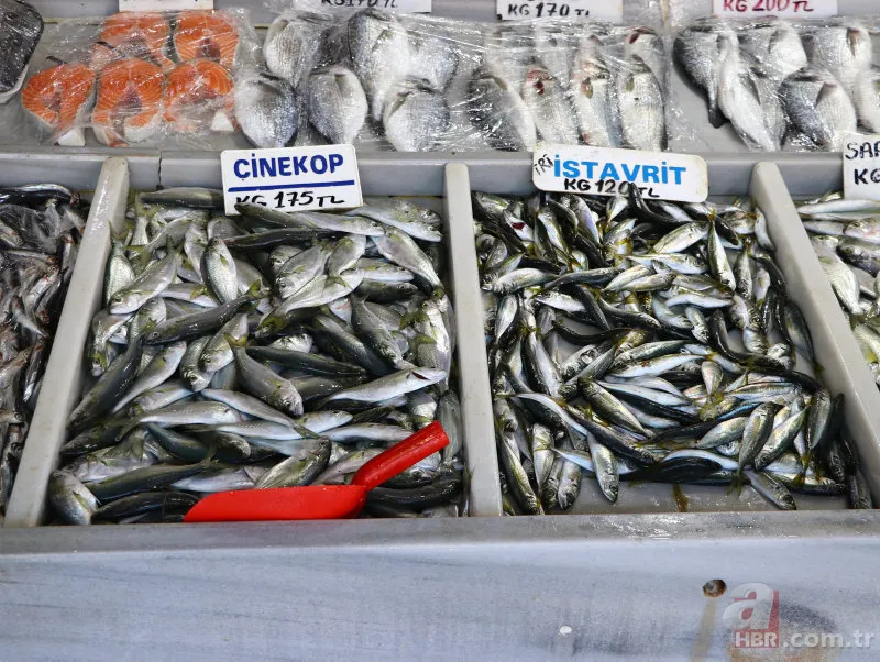 Uzmanlardan hamsi uyarısı! "1 yıl avlanmasın..." 11