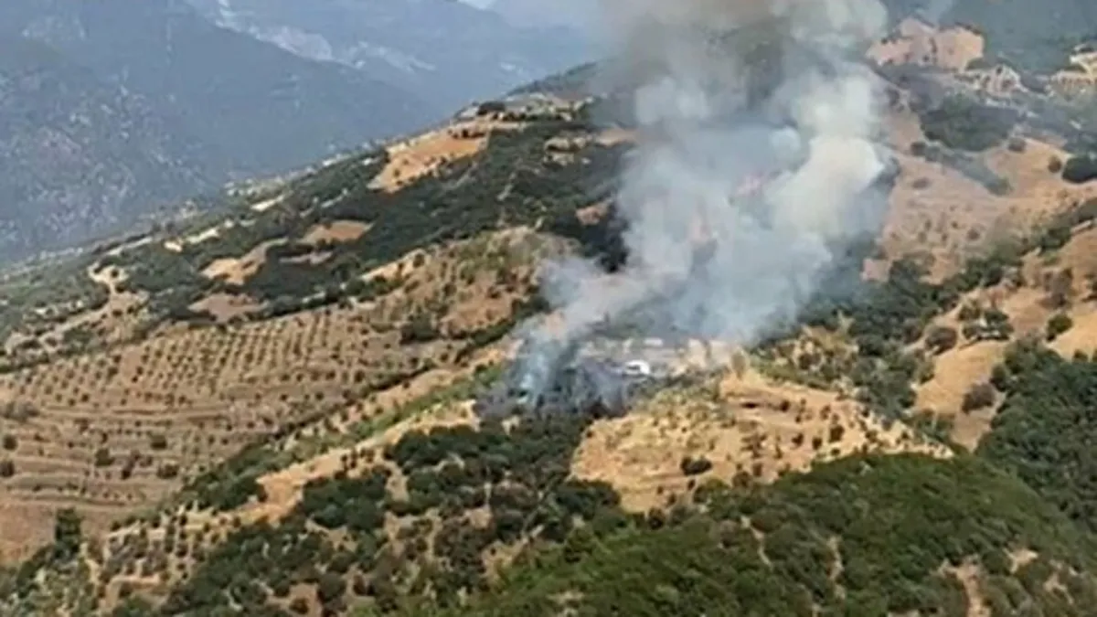 Aydın'da kayınpederiyle tartışan kişi araziyi ateşe verdi