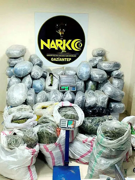 Son dakika: Gaziantep'te 320 kilo esrar ele geçirildi - 1