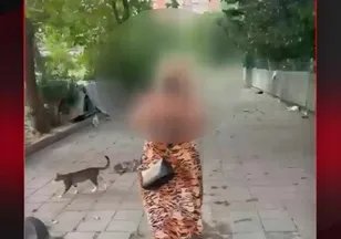 AKIL HASTANESİNE YATIRILDI