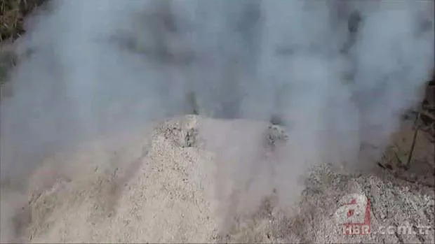 Kırmızı karıncalardan batmayan sal! Haftalarca yüzebiliyorlar 12