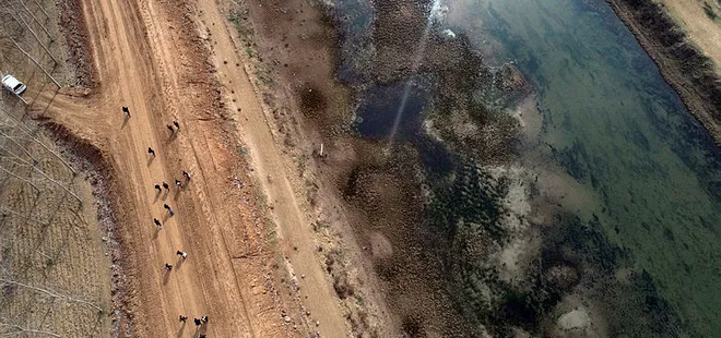 Son dakika: BM’den flaş Türkiye çağrısı