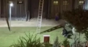 Konserde gençleri darp eden özel güvenlik tutuklandı