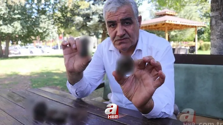 1 gramı tam 5.000 TL değerinde! Mantar toplarken gözlerine inanamadı! Yere kımıl kımıl saçılmıştı! 1 gramı tam 5.000 TL değerinde! Mantar toplarken gözlerine inanamadı! Yere kımıl kımıl saçılmıştı!