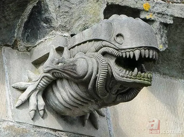 Günün ilginç kareleri 25