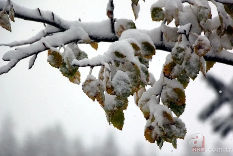 Kocaeli ve Bolu'nun yüksek kesimlerine ilk kar düştü 15