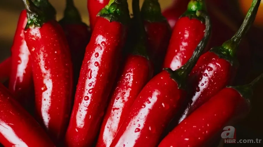 İnsanlar neden acı yemeyi sever? Bilim insanları açıkladı 2