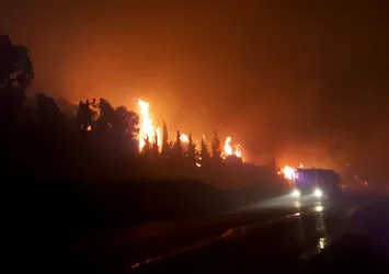Son dakika: İzmir Menderes'te orman yangını