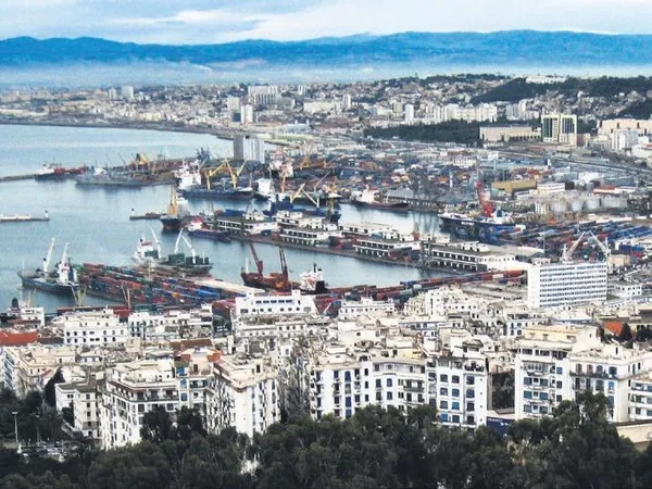 1664854566425.jpeg Türk firmalarının ikinci adresi: Cezayir! Sayı bin 300'e çıktı - 7