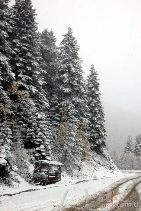 Kocaeli ve Bolu'nun yüksek kesimlerine ilk kar düştü 21