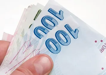 Ekonomide Türk lirası devri