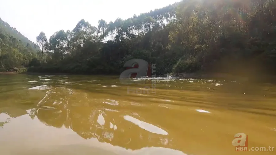 Dev anakonda yılanı nehirde yüzen gençlere saldırdı! Korku dolu anlar görüntülendi 20