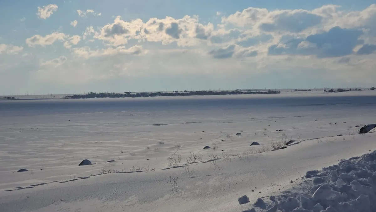 Bitlis'te ‘Kuş cenneti’ Arin Gölü tamamen dondu