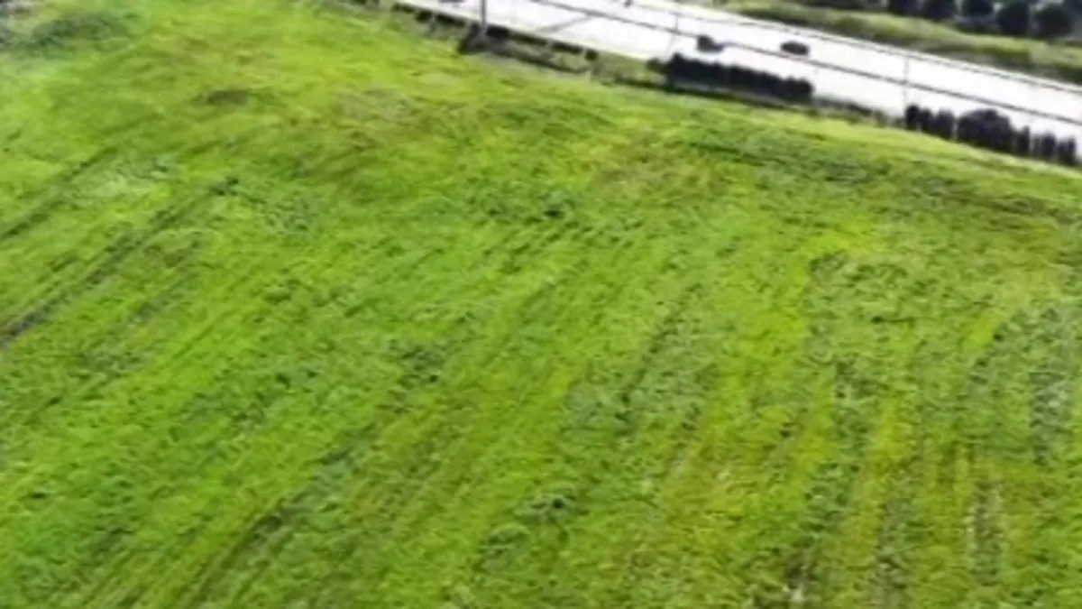 İBB mezarlık alanını imara açtı