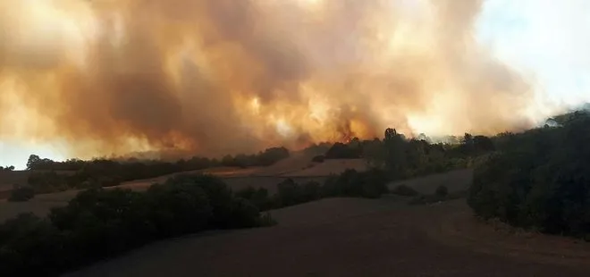 Son dakika: Bursa’da orman yangını
