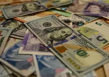 Ekonomi Bakanlığı'na döviz için yeni yetki
