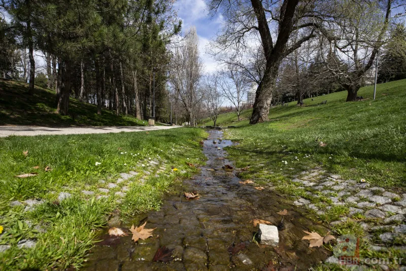 İstanbul, Ankara ve İzmir'de ilçe ilçe koronavirüs yoğunluğu! İşte en riskli ilçeler 7