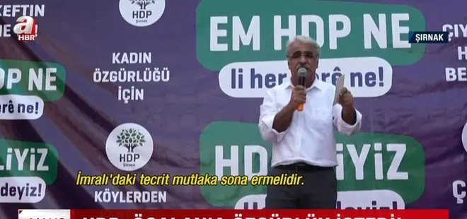 HDP Eş Genel Başkanı Mithat Sancar’dan Öcalan skandalı! Teröristbaşı Öcalan için özgürlük istedi