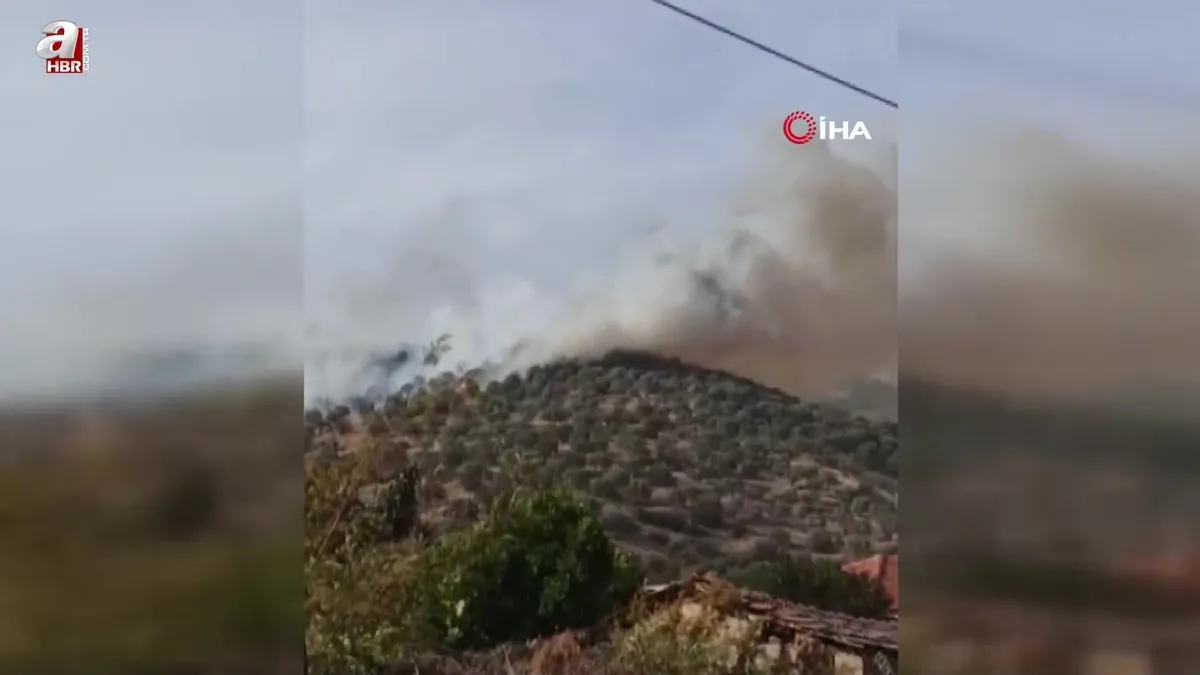 Bozdoğan’da orman yangını