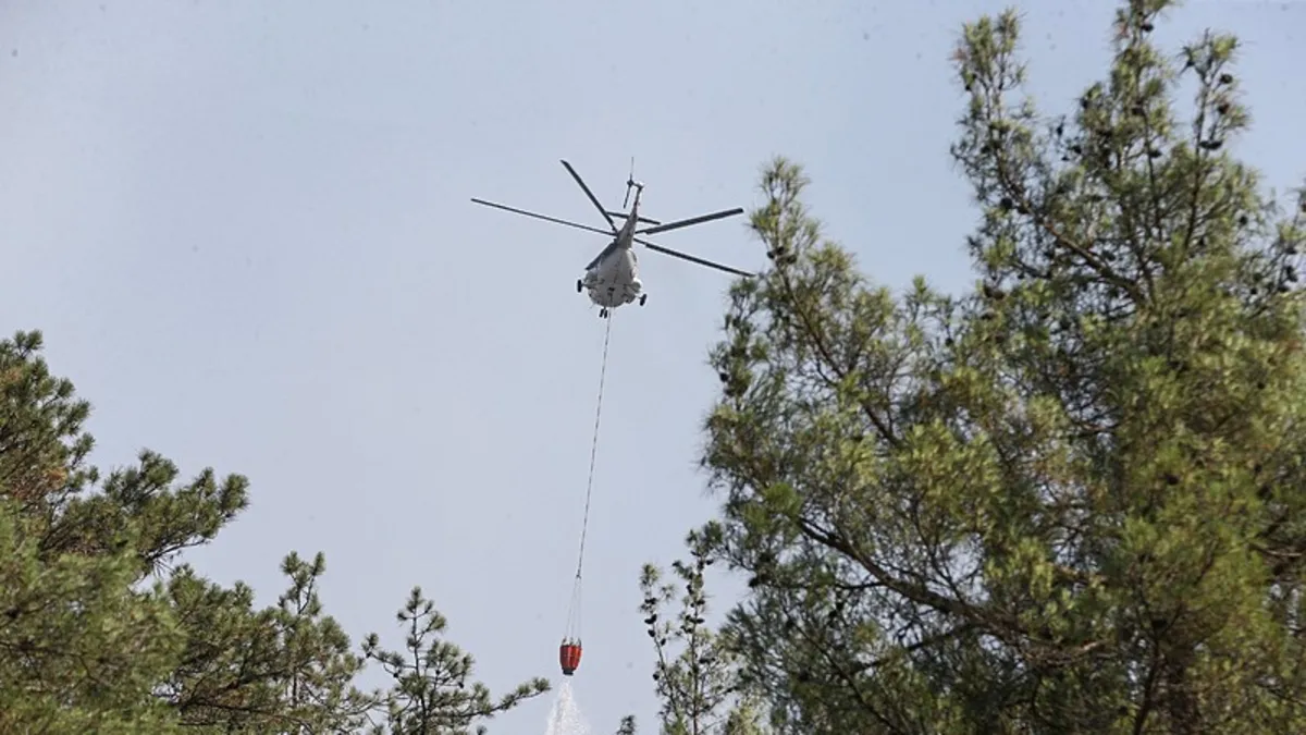 Bursa'da havai fişek patlatıp yangın çıkarmışlardı! O şüphelilere 100 ağaç dikme cezası