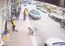 Dehşete düşüren görüntü!