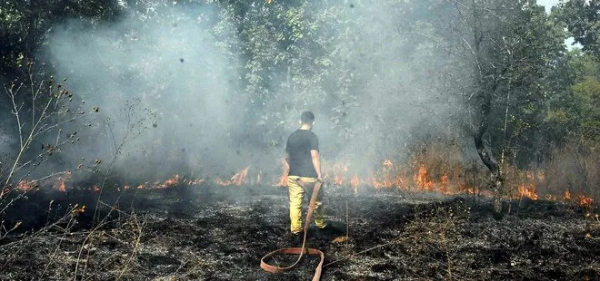 Edirne’de Bulgaristan sınırında orman yangını! Göçmenler yaktı iddiası