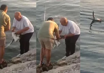 Oltaya balık yerine martı takıldı