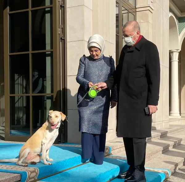 baskan-erdogan-sokak-hayvanlari-talimatini-yineledi-81-ile-barinaklar-ve-rehabilitasyon-merkezleri-kurulacak-1652359081199.jpg Başkan Erdoğan 'sokak hayvanları' talimatını yineledi! 81 ile barınaklar ve rehabilitasyon merkezleri kurulacak - 3