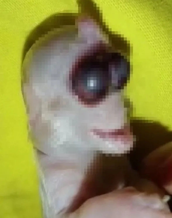 Filipinler’de şoke eden görüntü! Uğursuz ilan edildi