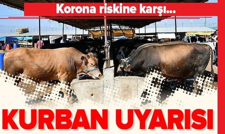Tarım Bakanlığı Bilim Kurulu Üyesi Ayaz’dan koronavirüse karşı, 'randevulu kurban kesimi' önerisi
