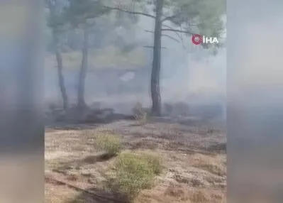 Mersin’de vadide çıkan orman yangını söndürüldü