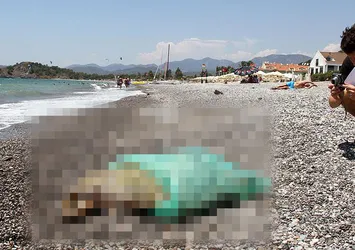 Fethiye sahillerinde bulundu