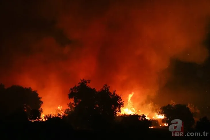 Antalya’da korkutan yangın! Kontrol altına alındı...
