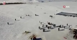 Atlar buz üzerinde dörtnala