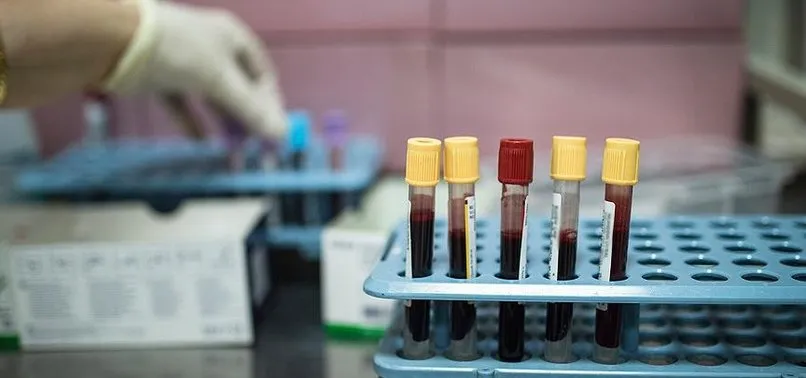 Türk bilim insanları kanserle savaşacak uyuyan hücrelerin şifrelerini keşfetti | Prof. Dr. Güneş Esendağlı'dan önemli açıklamalar