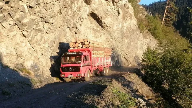Artvin’de tomruk yüklü kamyonları tehlikeli dağ yollarında kullanıyorlar - 4