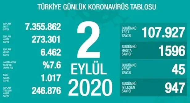 Koronavirüs vaka tablosu nereden açıklanıyor? Korona vaka, ölüm tablosu ne zaman, nereden açıklanacak? - 3