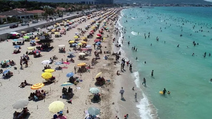 Bilim Kurulu üyesi Prof. Dr. Levent Yamanel: Dilim varmıyor ancak vakalar artacaktır