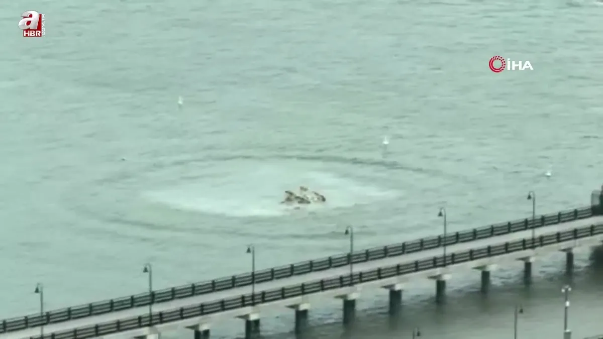 ABD’de helikopter Hudson Nehri'ne düştü!