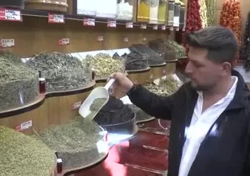 Aktarların 'grip' mesaisi başladı