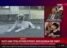 Sokak köpekleri üzerinden büyük provokasyon