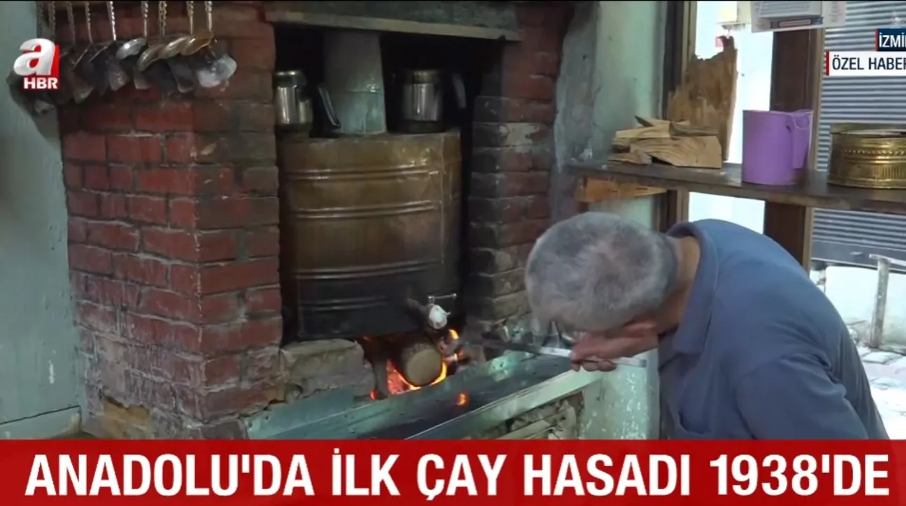 Çay yurdun her yanında başköşede