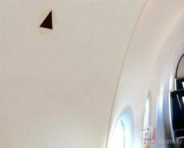 Ne işe yaradığını öğrenen şaşırıyor 2