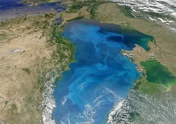 Karadeniz'in dibinde müthiş buluş