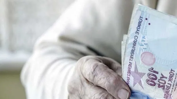 1000 TL yardım parası alamayan aileler dikkat! TC kimlik noya göre ödeme: Yardım parası ödemesi e-devlet sorgulama linki...