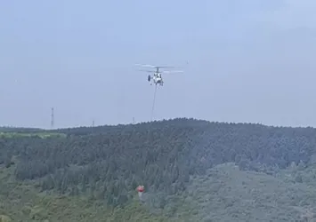 Sultangazi'de kent ormanında yangın! Havadan müdahale edildi