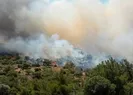 Dikilideki yangın kontrol altına alındı