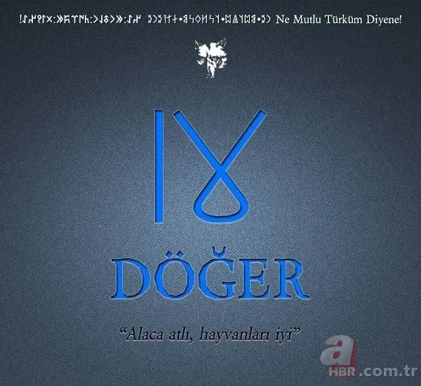 Türkiye'de hangi il hangi Türk boyundan geliyor? Şehirlerin soyağacı ortaya çıktı! 38